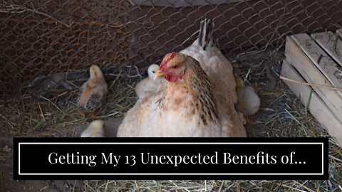 Getting My 13 Unexpected Benefits of Exercise To Work