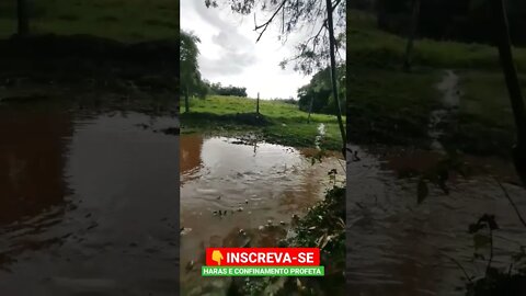 enchurada ⛈️🌧️🌦️ #shorts #agro #roça #sitio #agua #chuva #enchurada #novembro #rio #riacho #interior