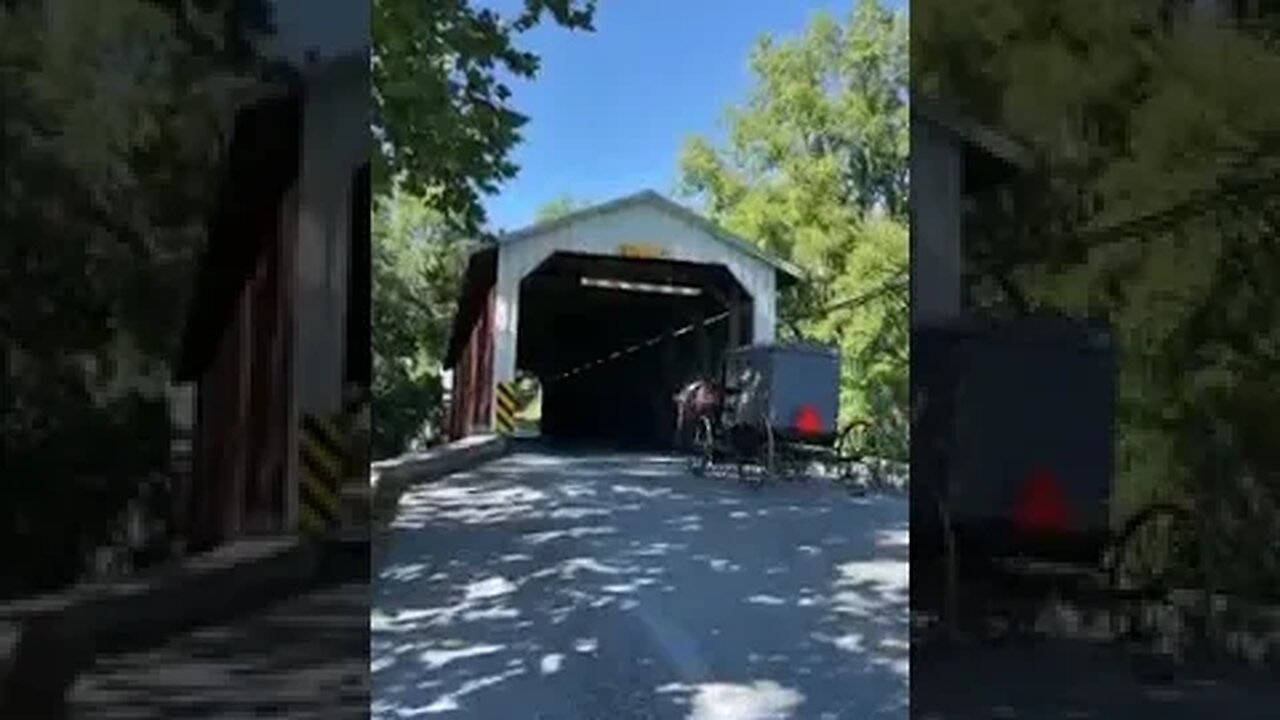 Amish Buggy going in Covered Bridge