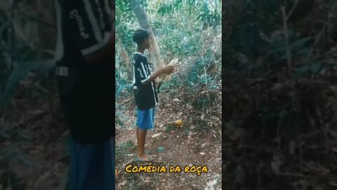 Zé detinho está caçando um paca pra comer🐗 #comedia