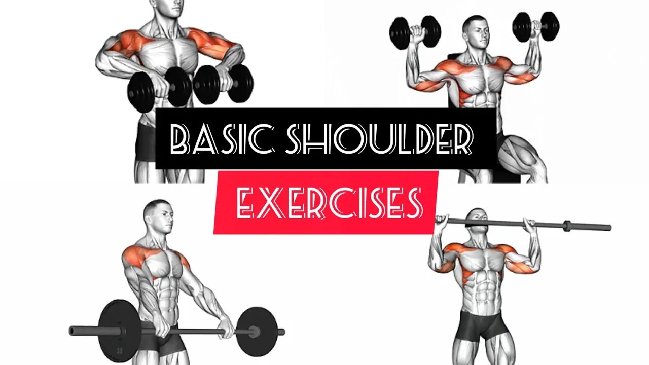 Basic shoulder exercises(barbell/dumbbells)