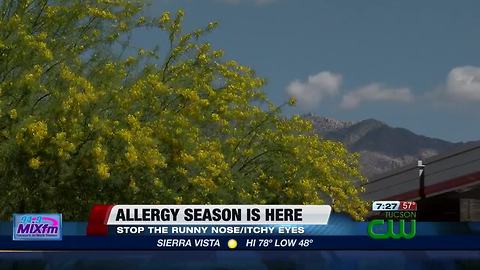 Beat your seasonal allergies