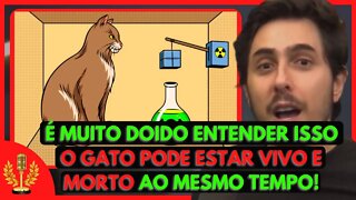 Paradoxo do GATO DE SCHRÖDINGER (Felipe Castanhari) | Cortes de Podcast