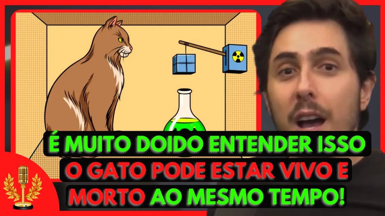 Paradoxo do GATO DE SCHRÖDINGER (Felipe Castanhari) | Cortes de Podcast
