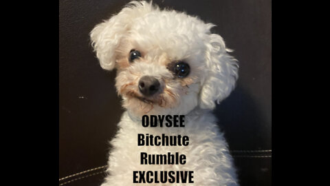 Rumble/Odysee/Bitchute Exclusive Hot Take: August 6th 2022 News Blast!