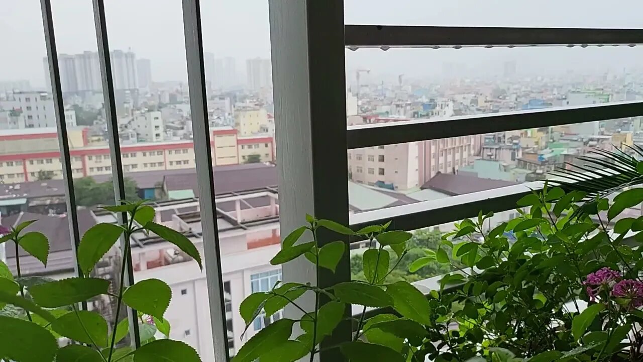 Raw Unedited Natural Rainsounds for sleeping relaxation on my 10th Floor Apartment-[Mưa để ngủ ngon]