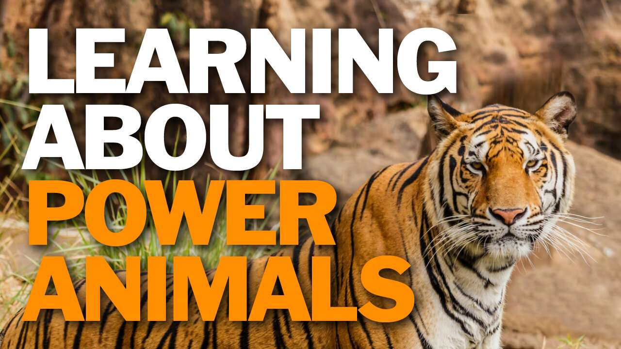 Learning About Power Animals