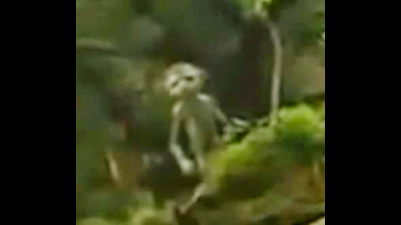 Tiny Fae-Like South America Humanoids