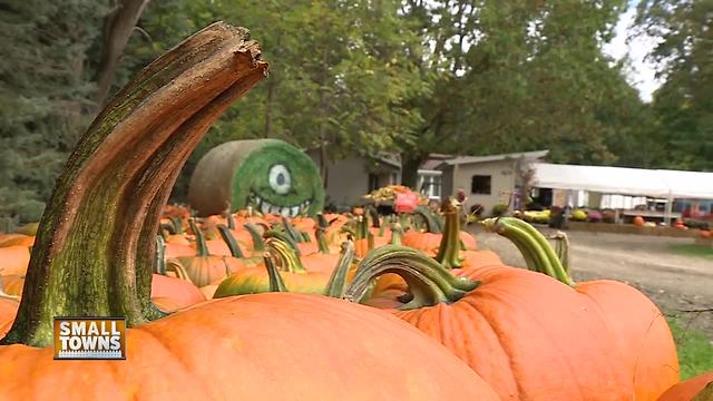 Small Towns: Blaser's Acres offers fall fun