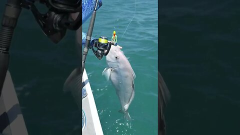 Wasn’t expecting a mother-in-law to crash the boys fishing trip! 😜
