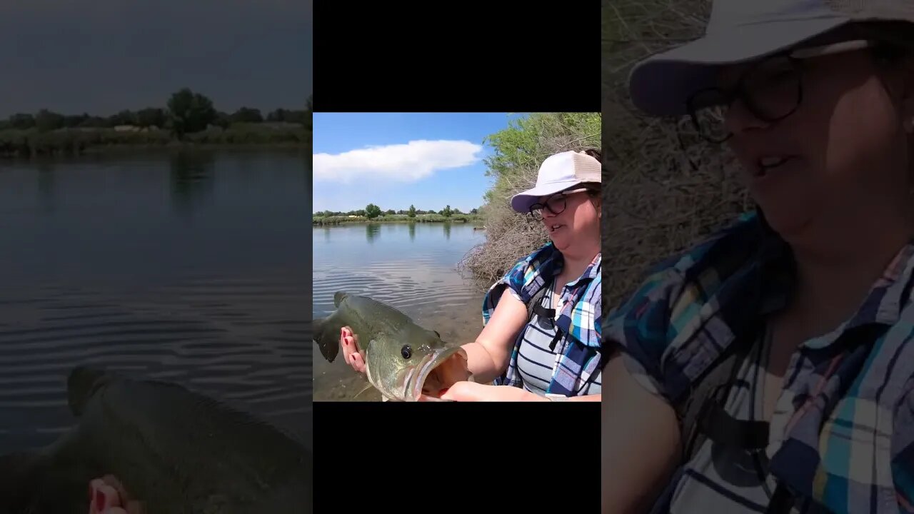 Cast Cray Sick Stick MONSTER bass in a Colorado lake!