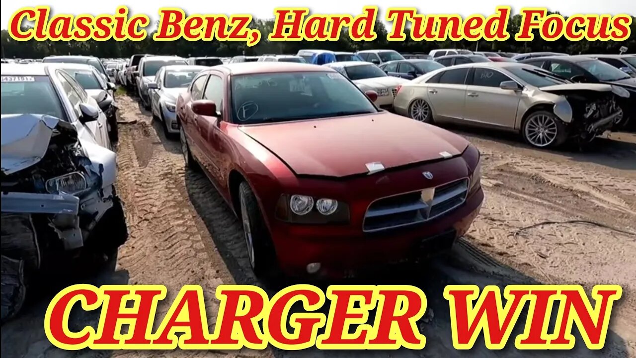 Charger Win, Classic Benz, Hard Tuned Focus, Copart Walk Around