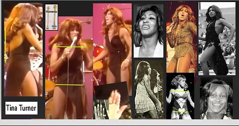 The Drag Queen Of Rock & Roll Tina Turner