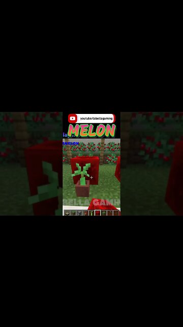 Watermelon | Minecraft