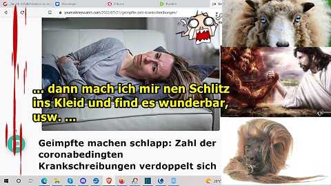 „Dann mach ich mir nen Schlitz ins Kleid und find es wunderbar, usw.!!!“ …