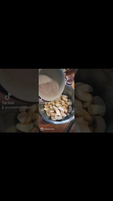 Apple Pie on the Homestead