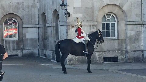 Horse goes back to the stable after bring spooked #horseguardsparade