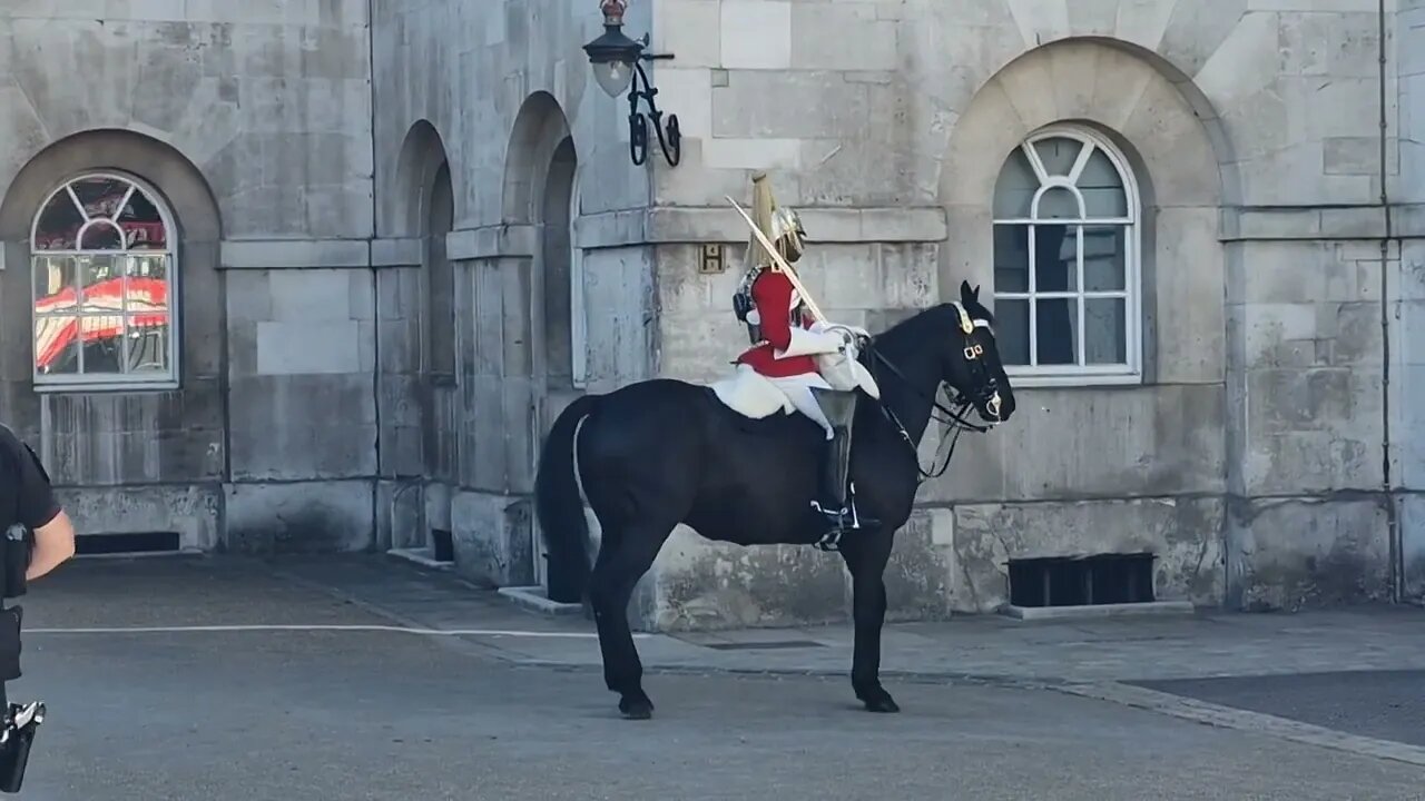 Horse goes back to the stable after bring spooked #horseguardsparade