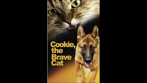 Cookie, the Brave Cat