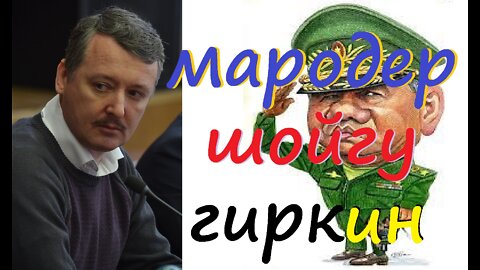 Гиркин Стрелков Шойгу мародер фанерный маршал!