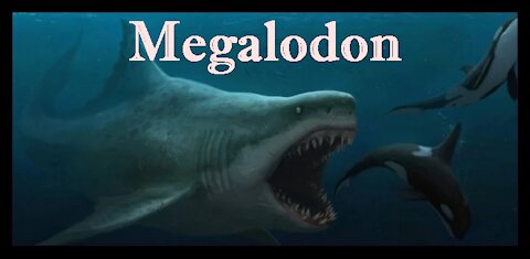 Megalodon the biggest shark that ever existed