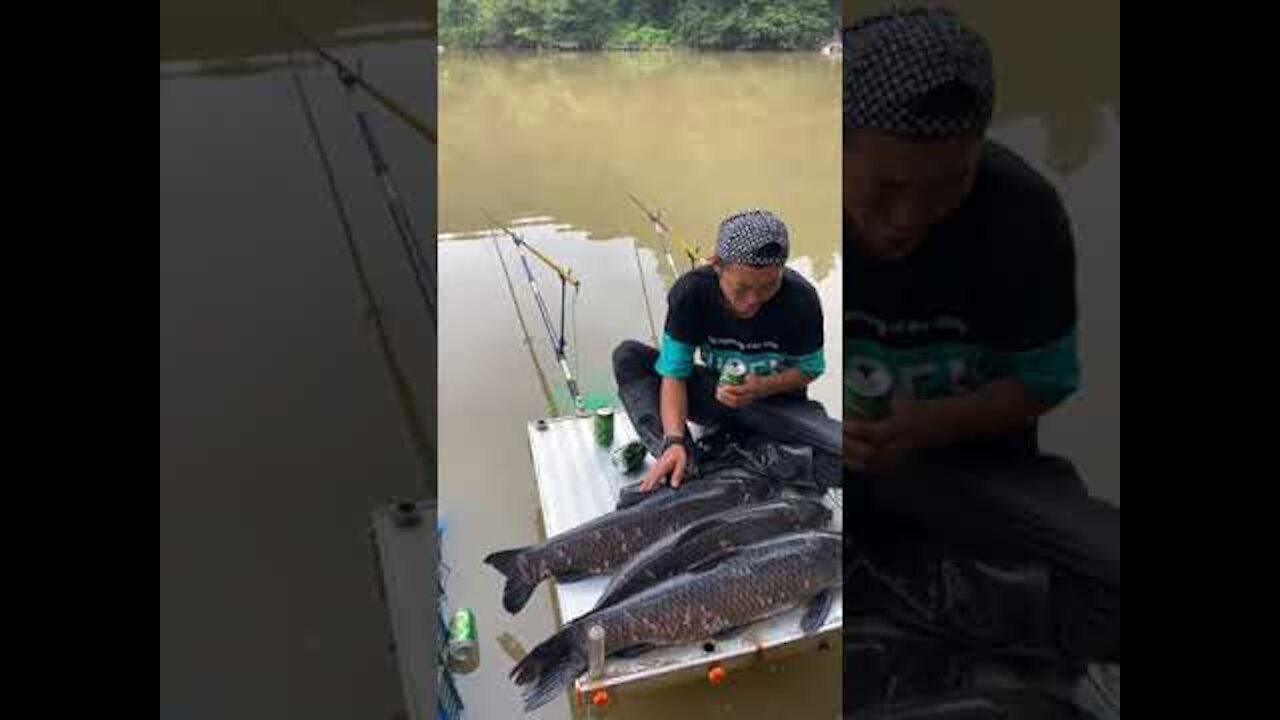 BIRD Fishing Lure Catches BIG FISH CRAZY!