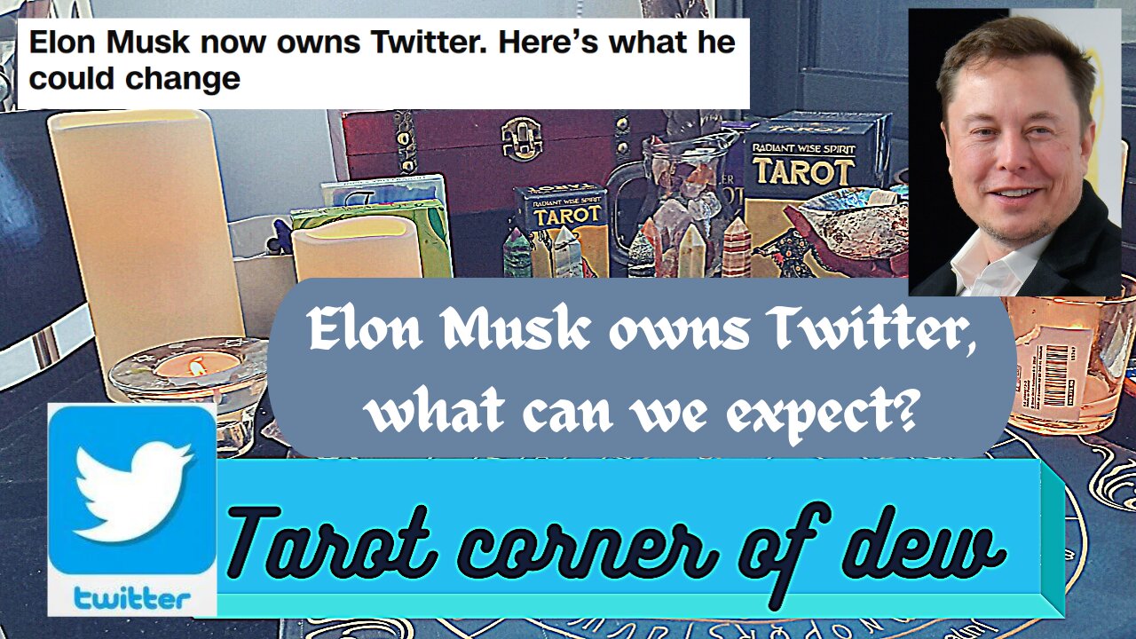 Elon Musk now owns Twitter - What can we expect for the future?