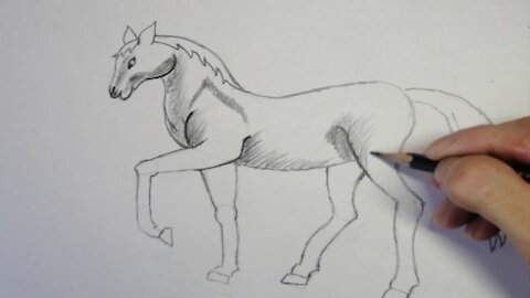 Drawing cute animals is simple