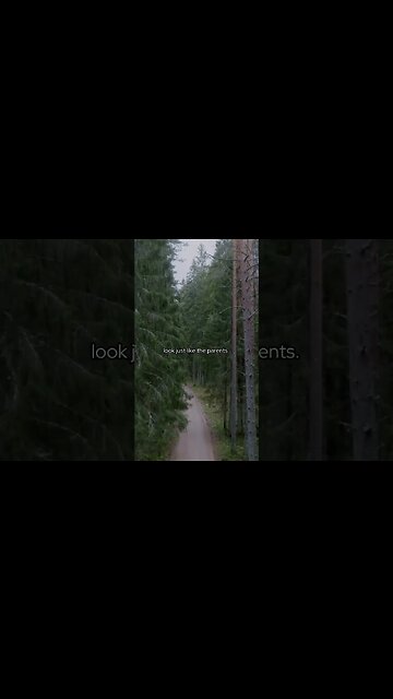 The Power of Random Mutations Examining the Role of Accidental Alterations in Organism Development