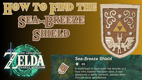 How to Find the Sea-Breeze Shield in The Legend of Zelda: Tears of the Kingdom!!! #totk