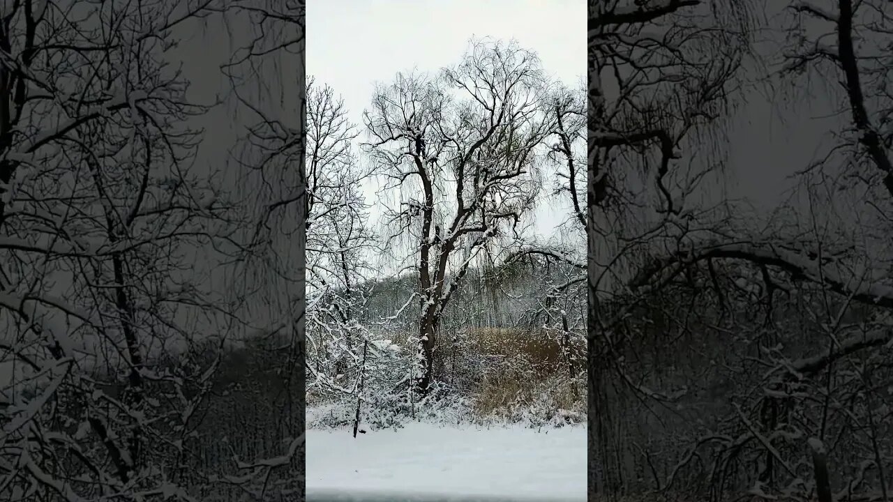 It's just so beautiful! 😇