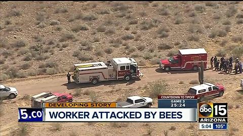 Worker attacked by hundreds of bees from old couch in Peoria