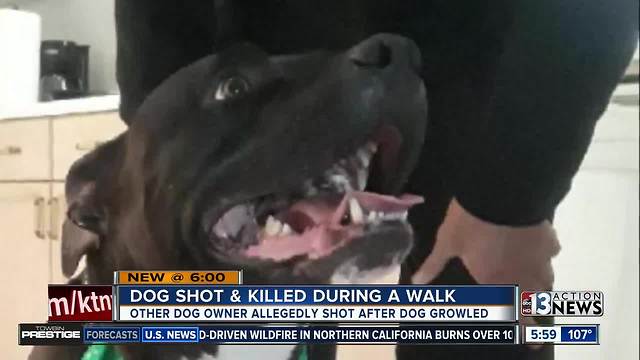 Man warns neighbors after dog shot and killed on walk