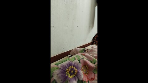 Winter Season in Room