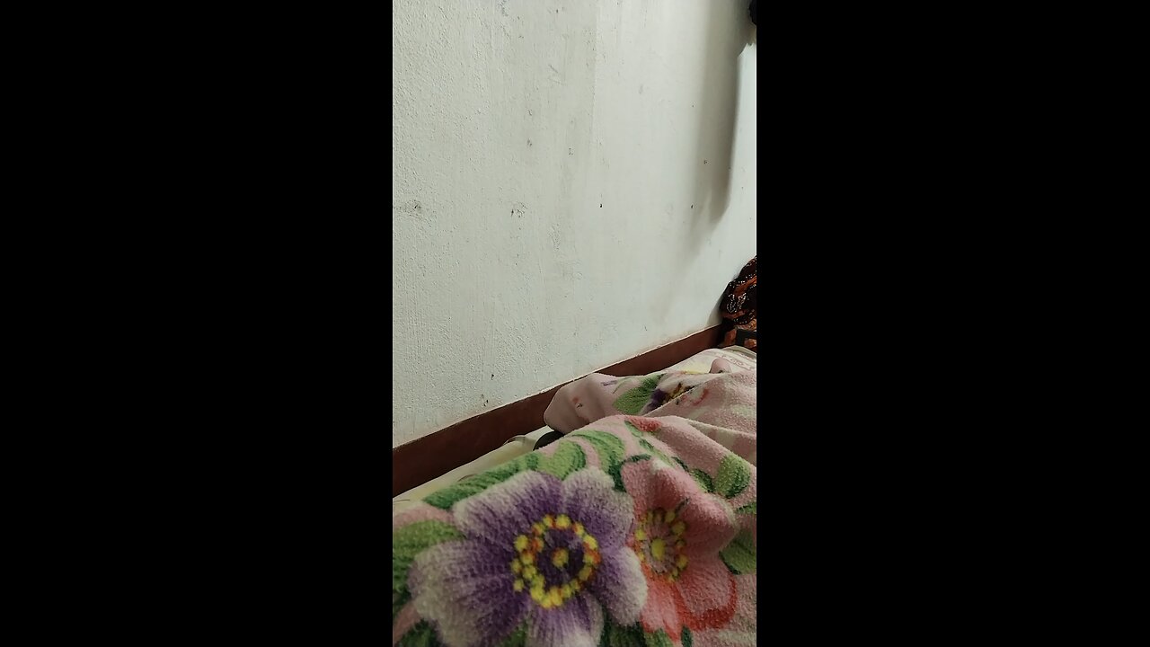 Winter Season in Room