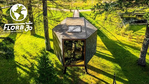 The Snake House: Re-engineering what a Tree House is