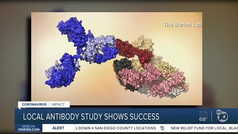 Local antibody study shows success