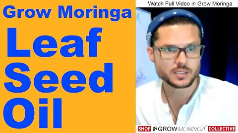 Eating Moringa Leaves and Seeds for Different Uses | Cleanse & Detox Colon w/ Moringa Herbal Fibers