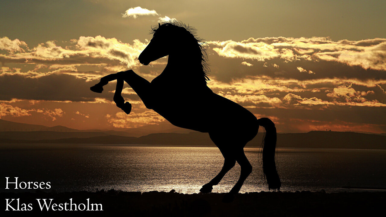 5. Dawn: 03 - Horses