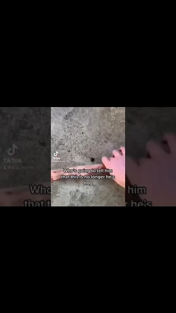 SKINWALKER Disgusted As A Dog 😱 #shorts #scary