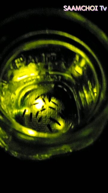 Can you guess what it is?