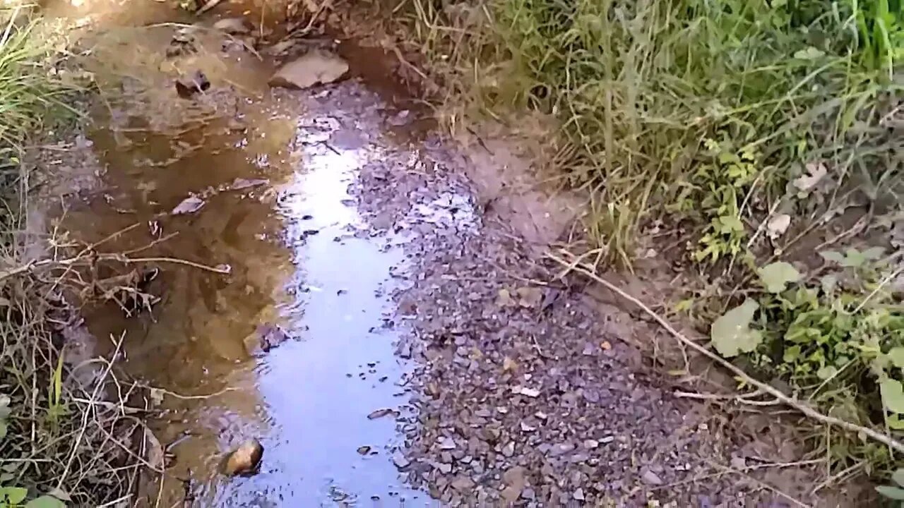Sundayscape Clips : Myeerah Nature Preserve Pt 3