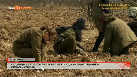 Седмица на гората Залесяваме с над 4 хиляди фиданки около Ихтиман