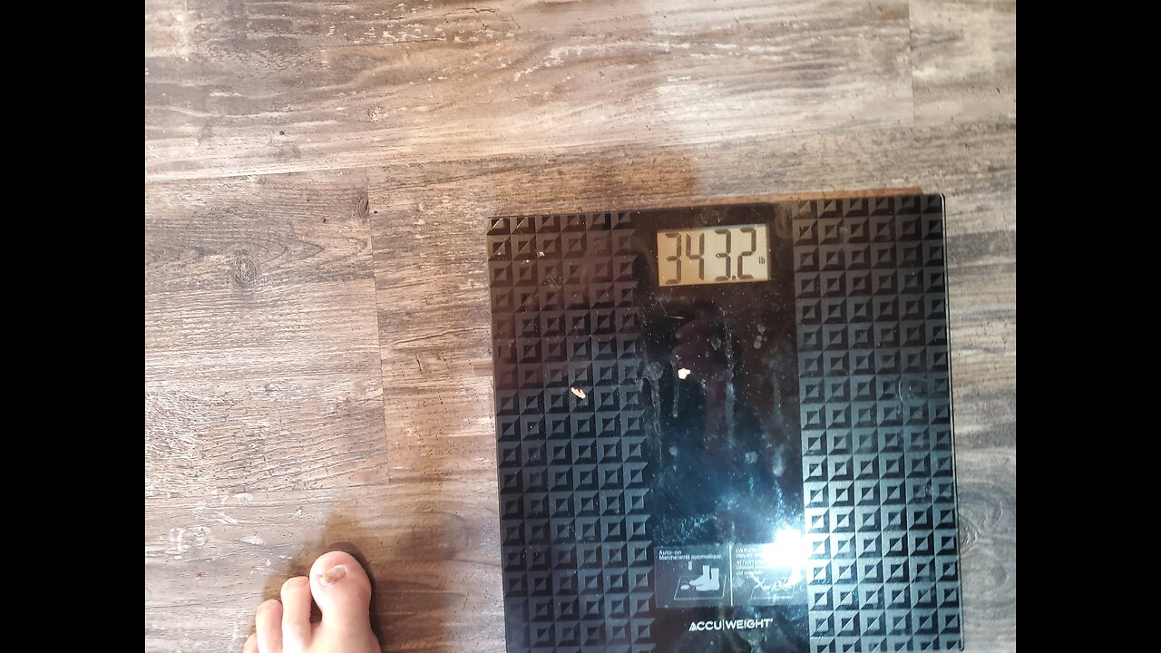 Weigh-In Nov 12, 2024