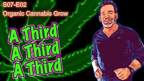 S07 E02 Canadian Indoor Cannabis Grow - Rocket Seeds Wedding Cake, Shiskaberry, & Skunk