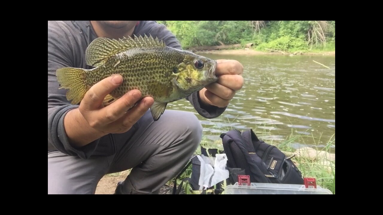 Fishing Milwaukee River Nearby Estabrook Park 河边钓鱼