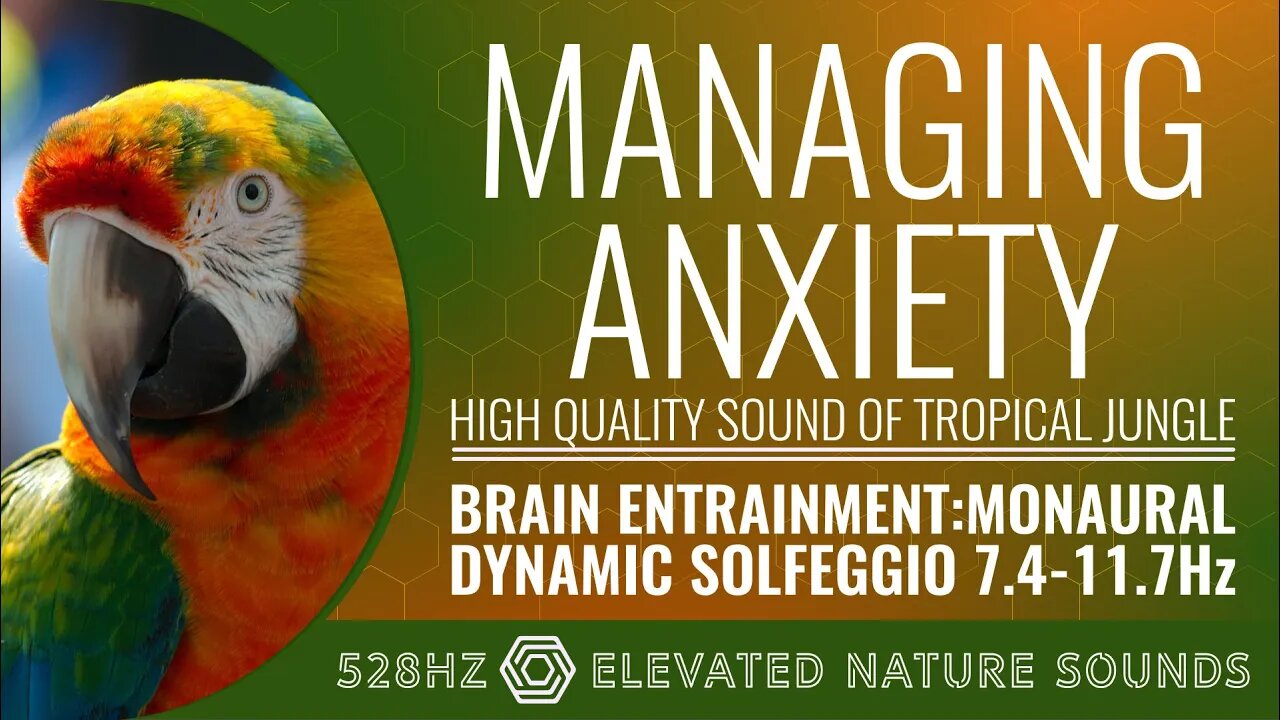 Managing Anxiety With 528Hz Monaural BWE Dynamic Alpha 7.4-11.7Hz With HQ Sounds Of Tropical jungle