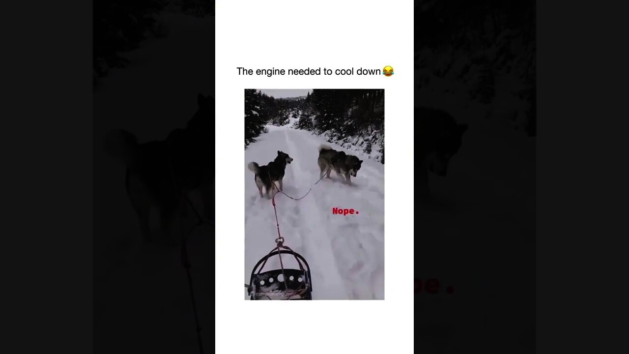 Engine 1 is ready! Engine 2 is too hot, needs to cool down 🐺😂