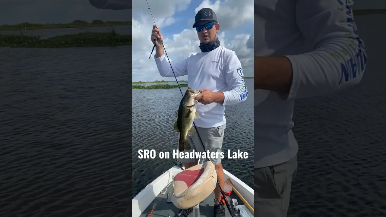 SRO South Florida Takeover!! #bass #fishing #headwaters #SRO