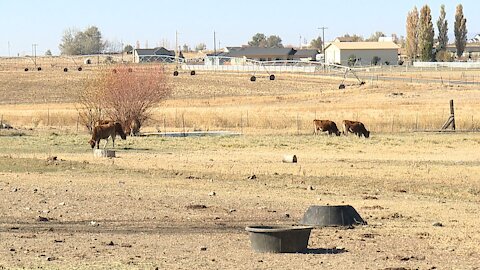 National Rural Health Day